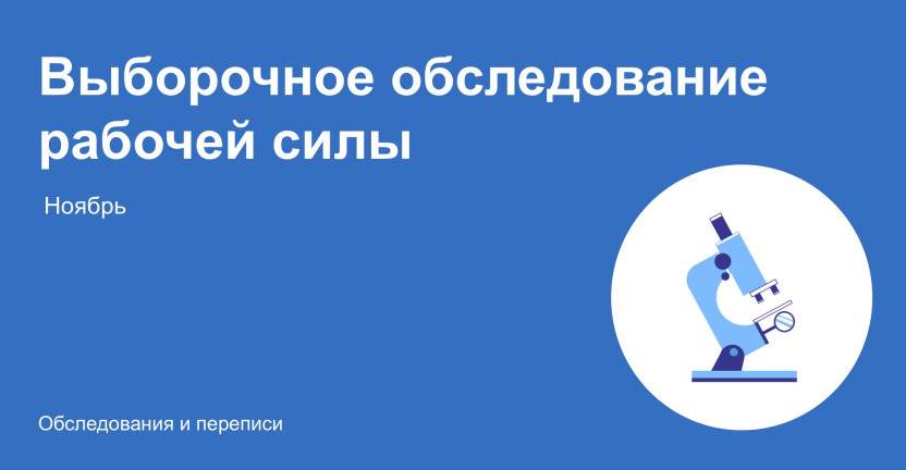 Проведение выборочного обследования рабочей силы в ноябре 2024 года